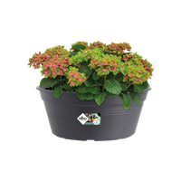 green basics schaal 33cm living black